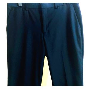 Express Men’s Suit pants